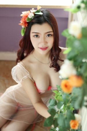 沧元图免费全集