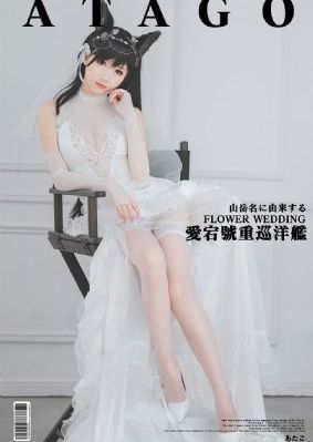 雌猫们